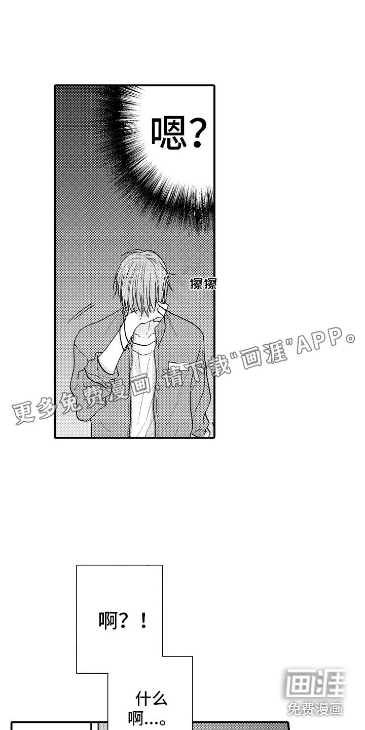 第19章：解释 