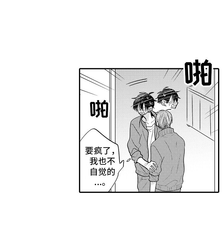 第19章：解释 
