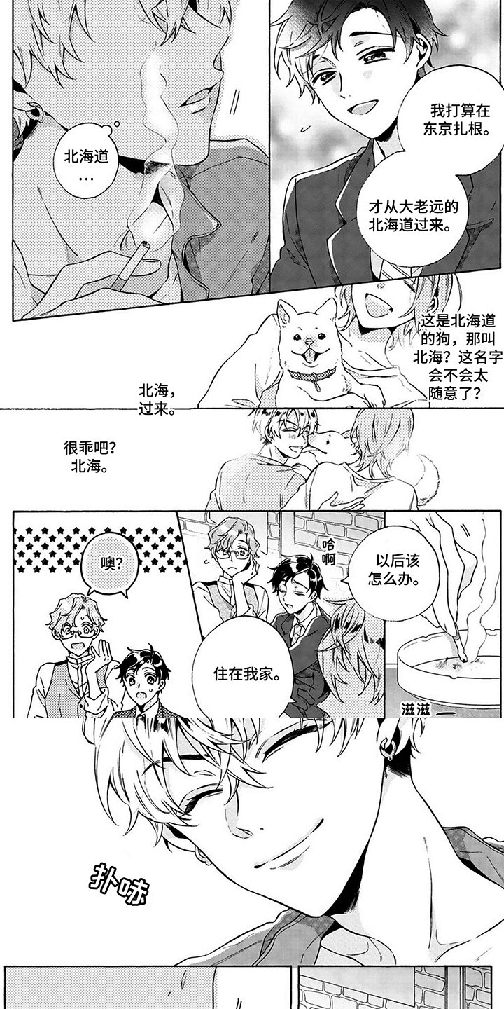 第2章：条件