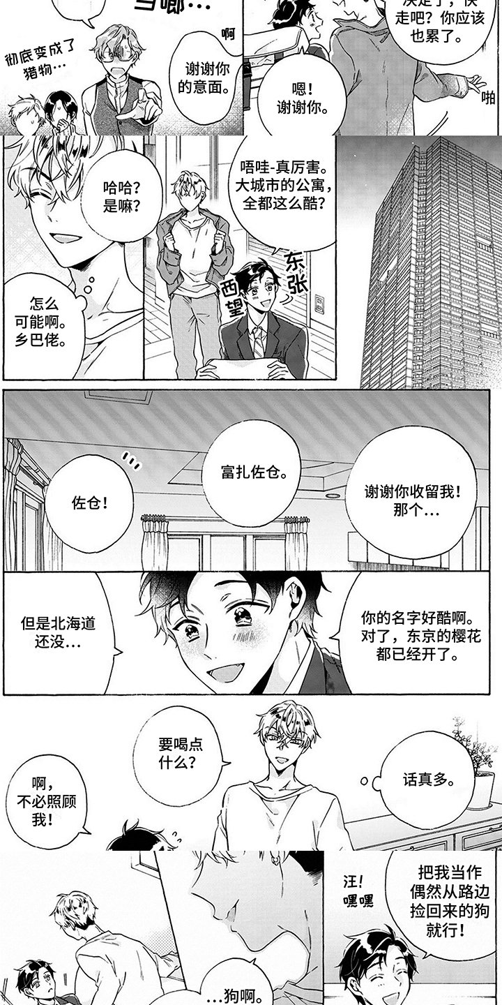 第2章：条件