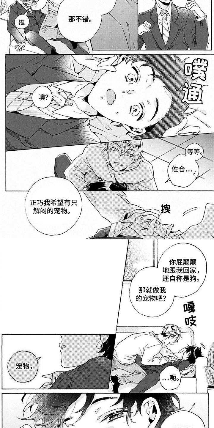第2章：条件