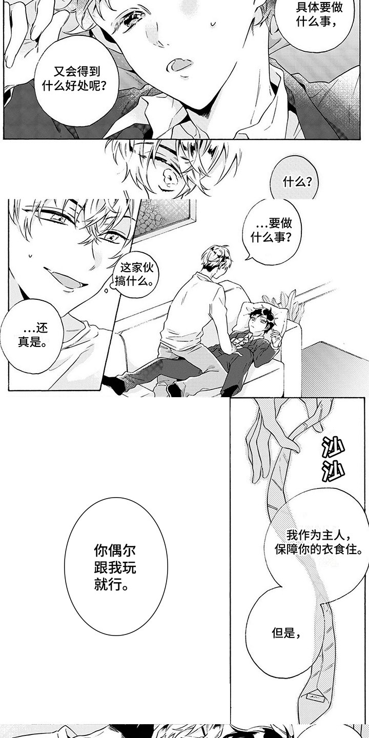 第2章：条件