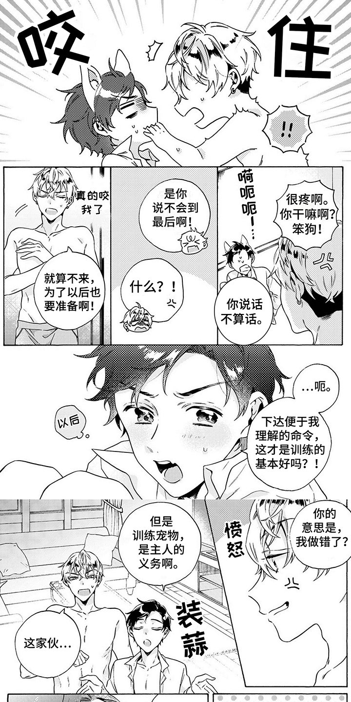 第3章：散步