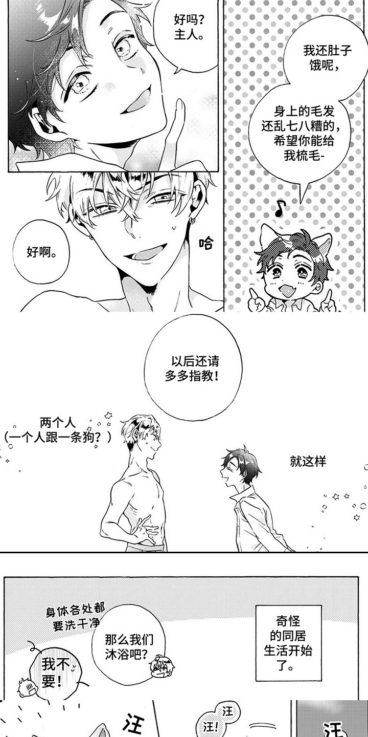 第3章：散步