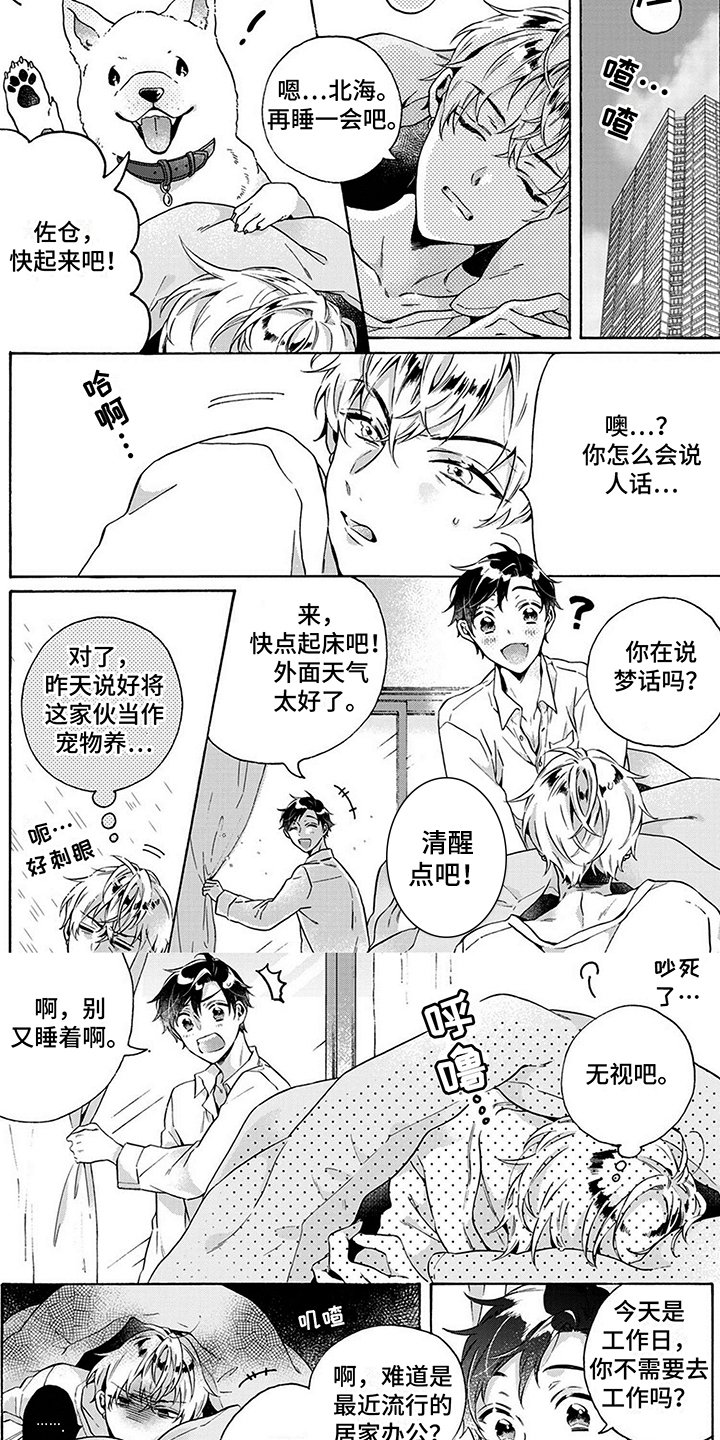 第3章：散步