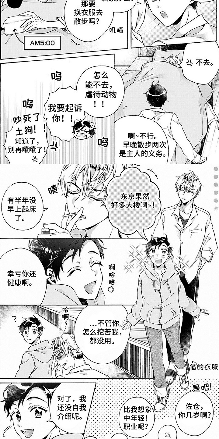 第3章：散步