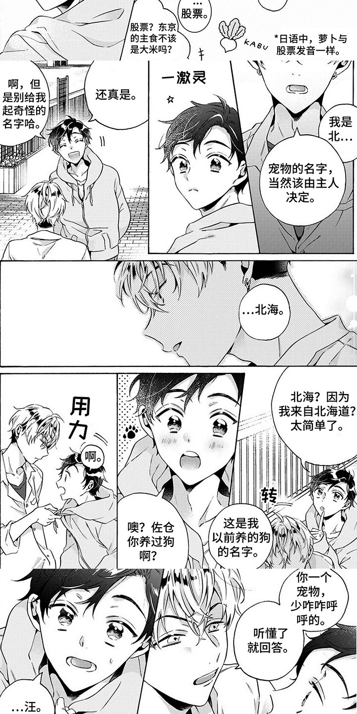 第3章：散步