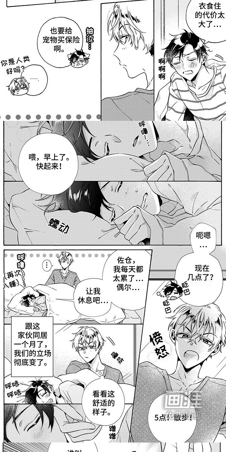 第5章：好养活