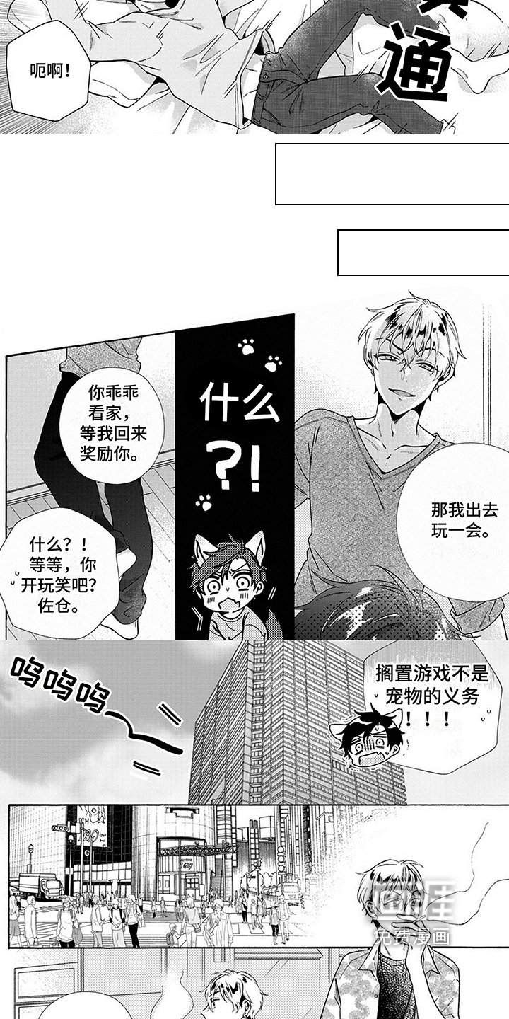 第6章：买项链