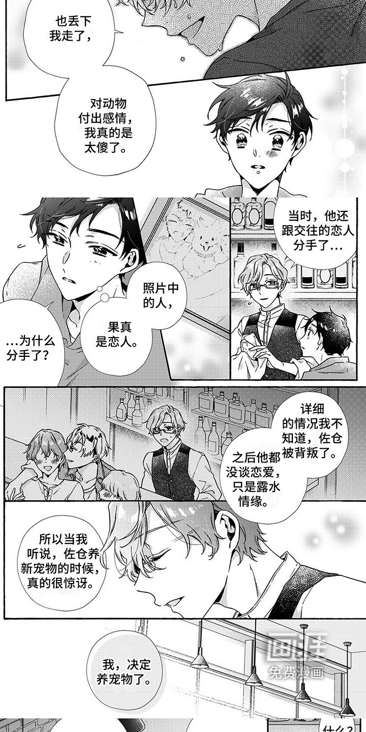 第7章：不无聊
