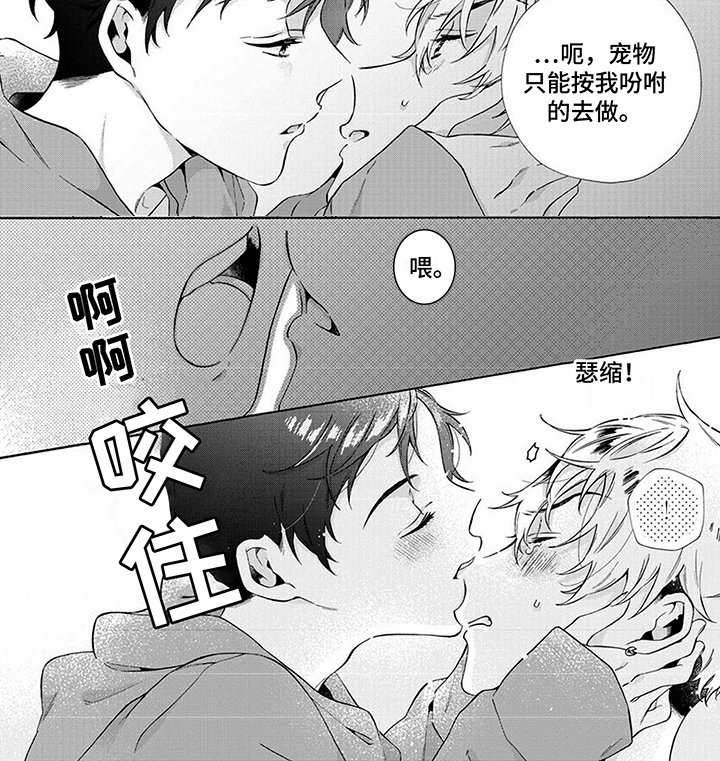 第8章：喜欢