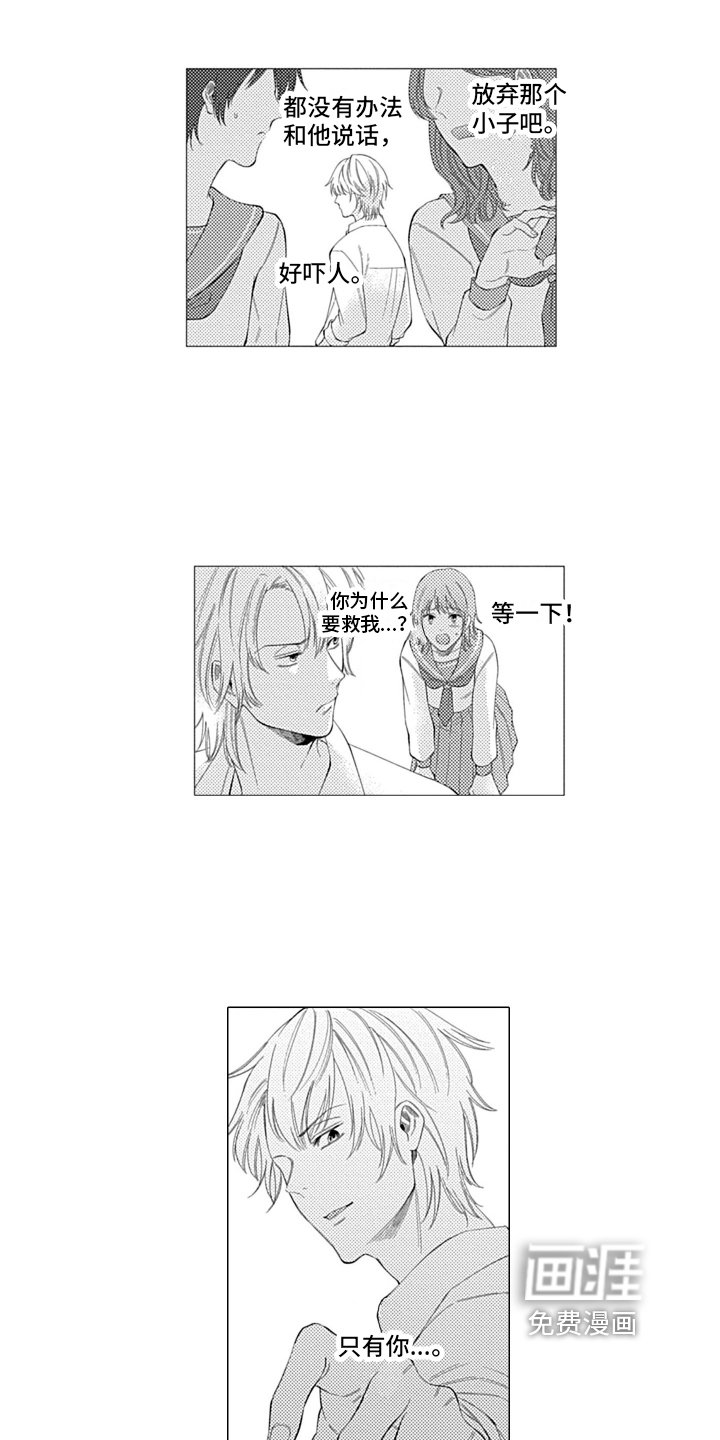 第8章：想了解更多