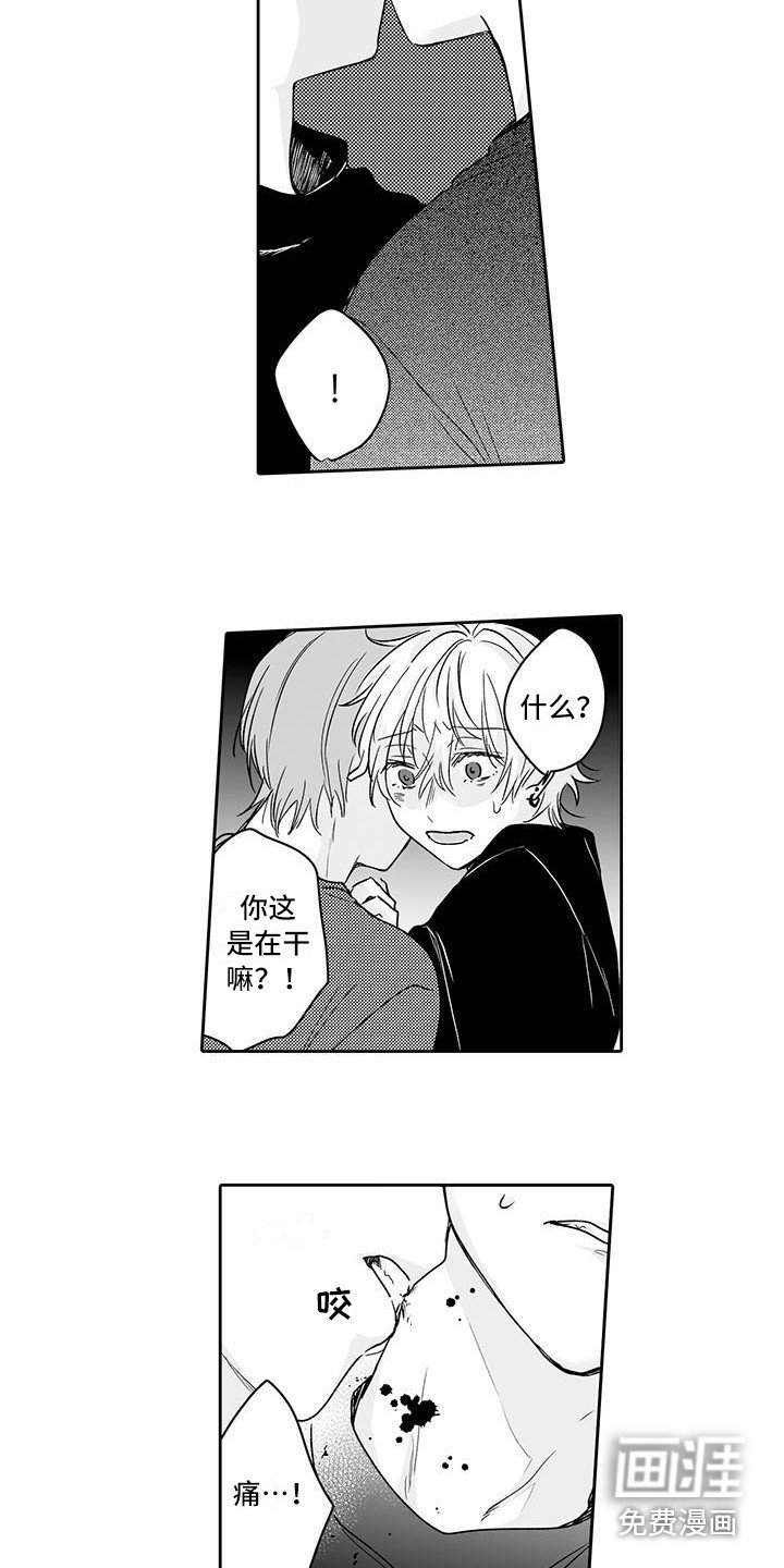 第14章：嫉妒