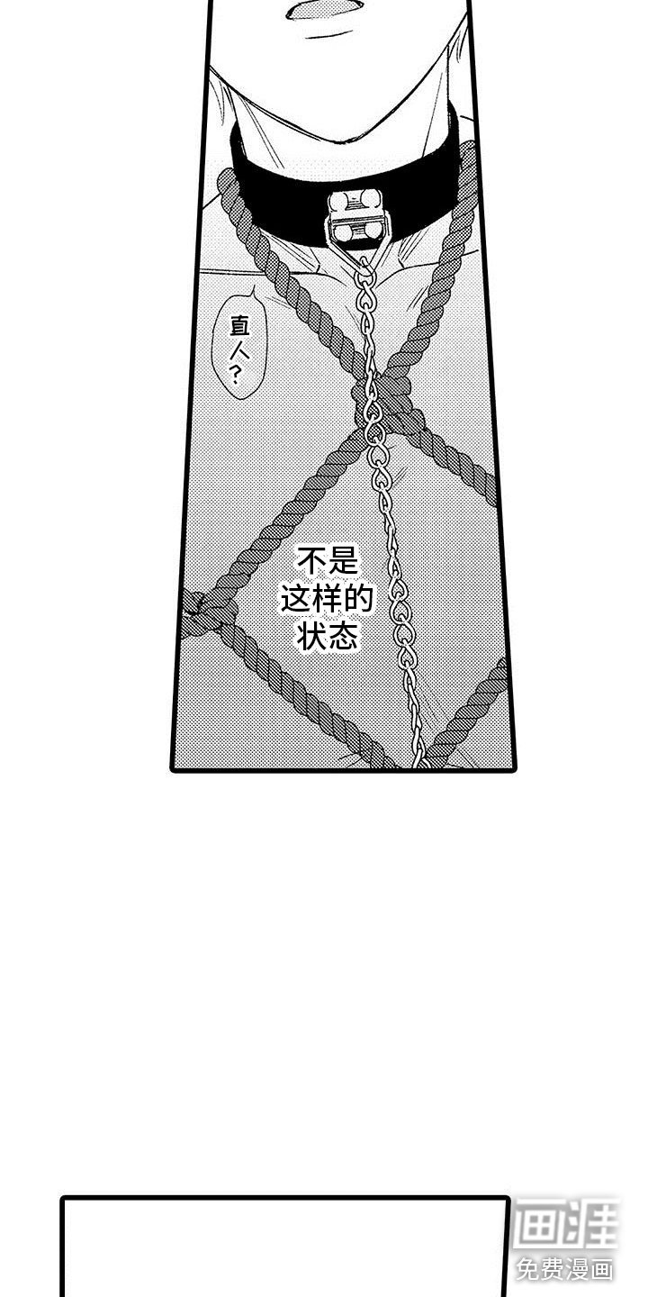 第13章：这是什么啊