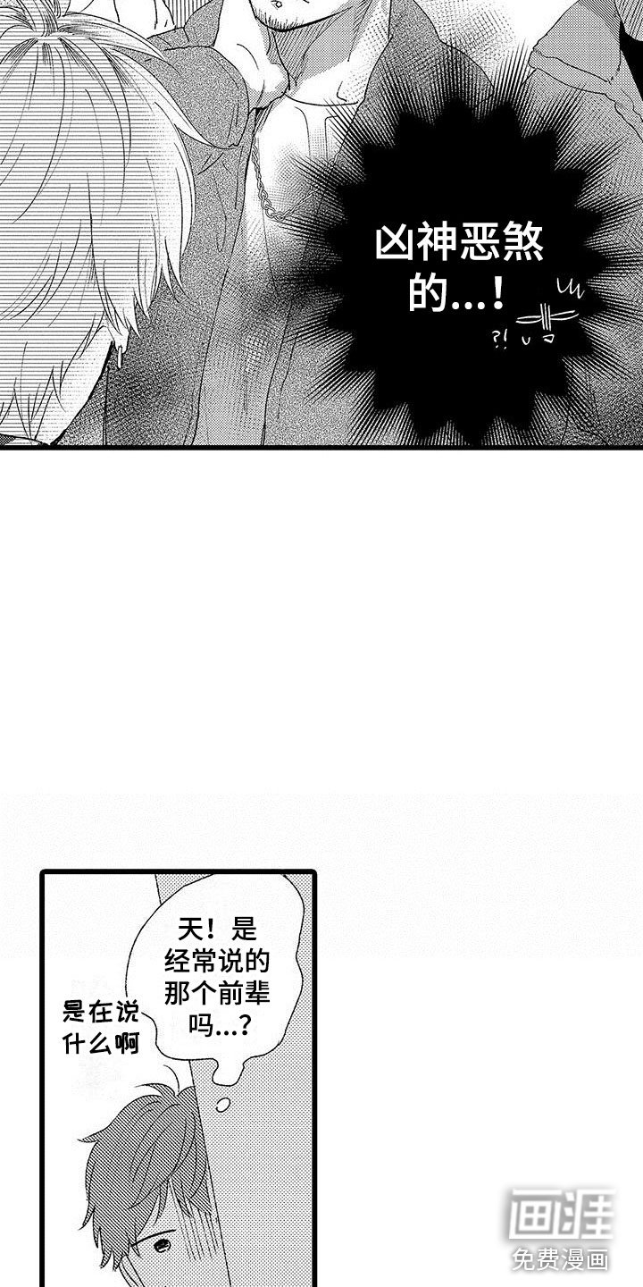第20章：被打