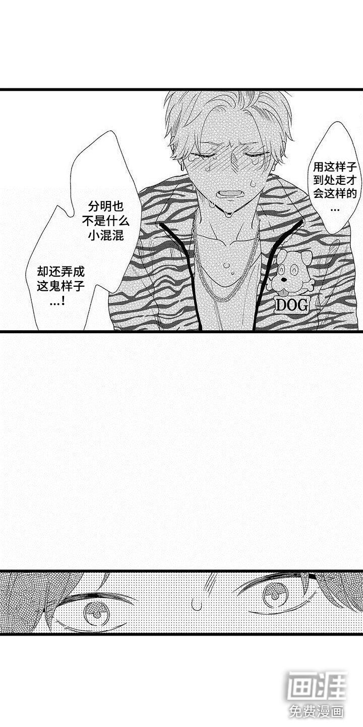 第21章：一个傻瓜