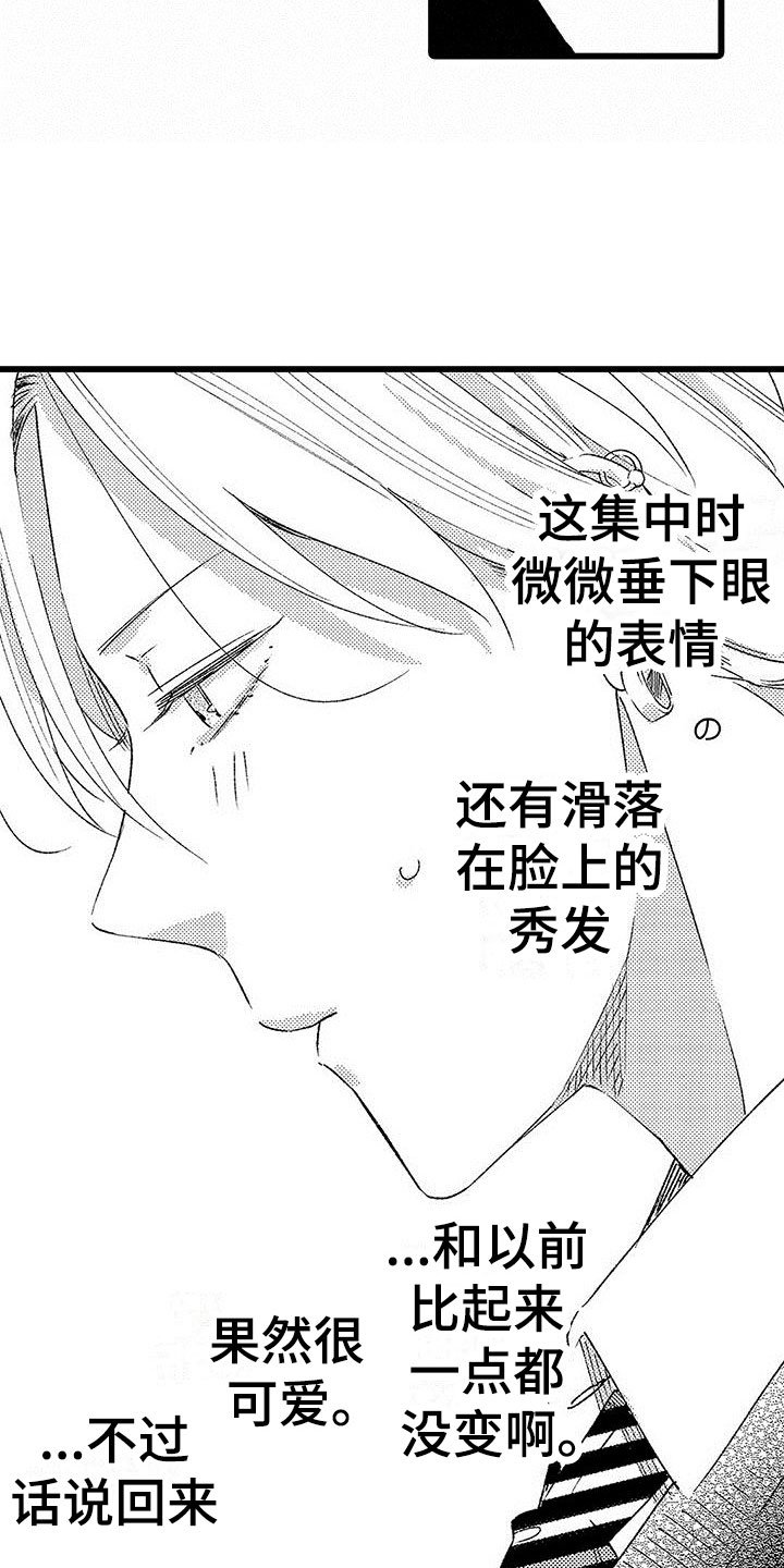 第3章：手机的秘密