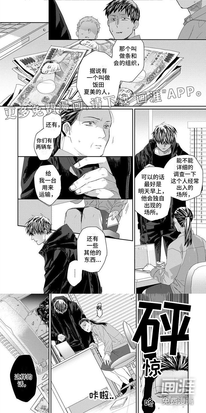 第16章：内幕