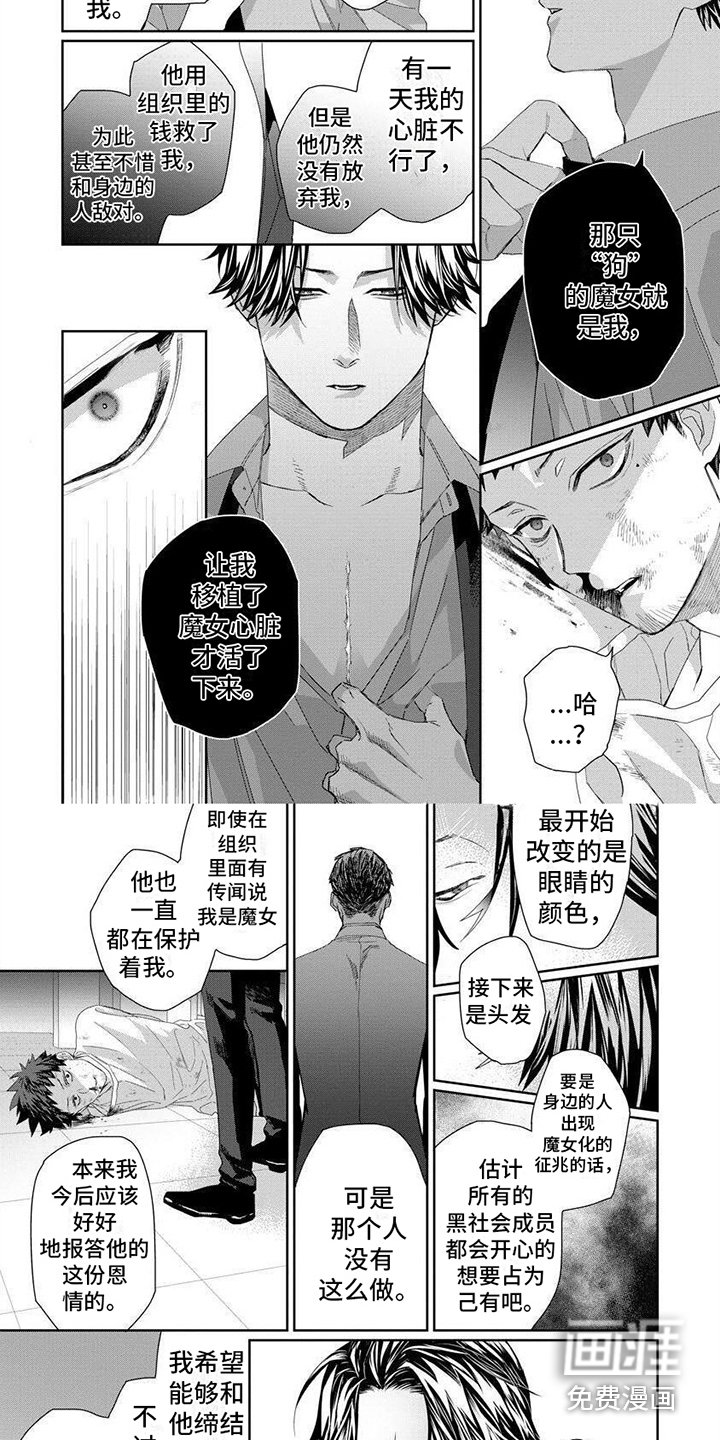 第16章：内幕