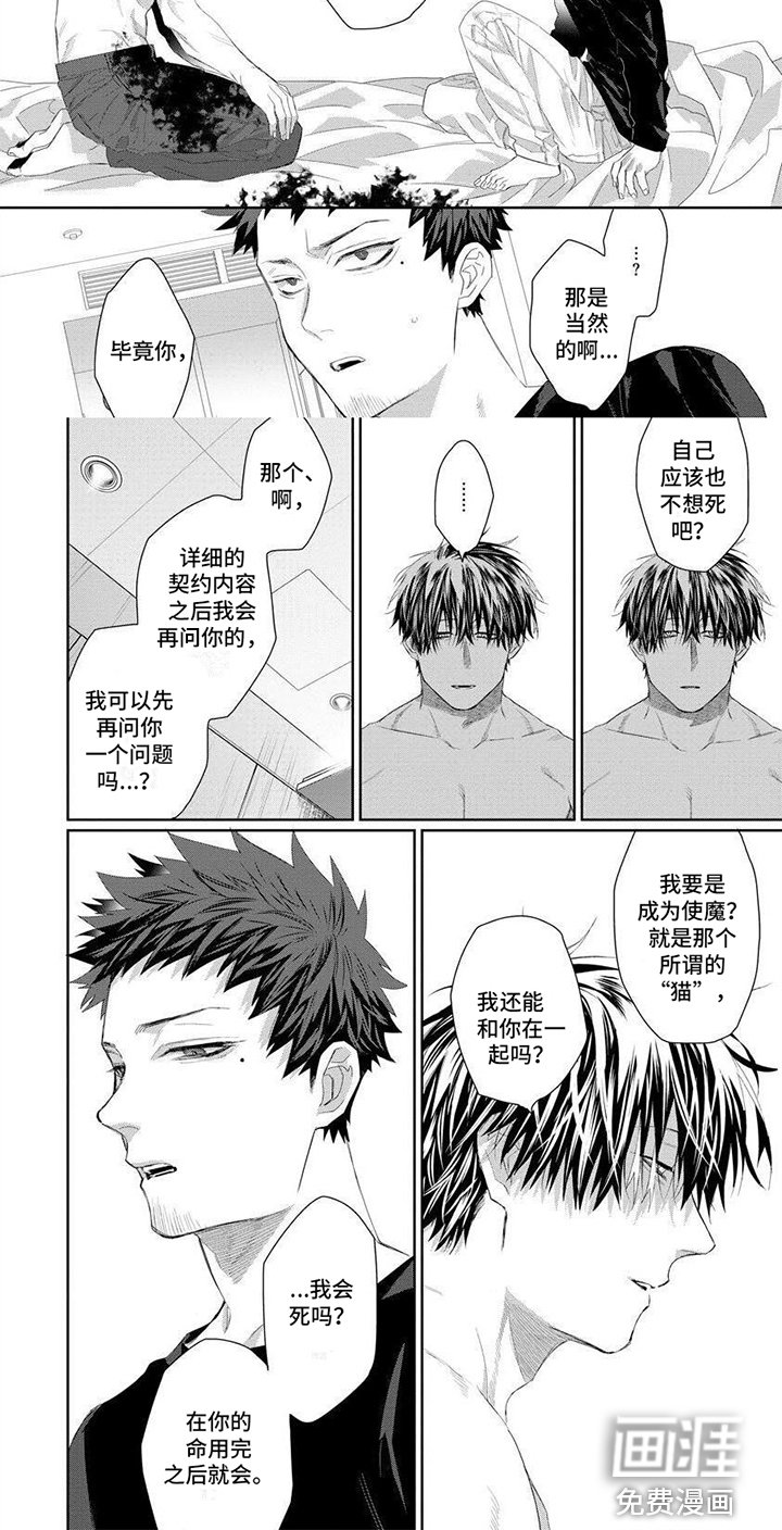 第5章：使魔