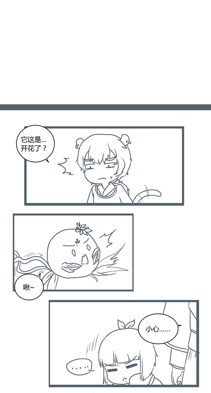 第297章：