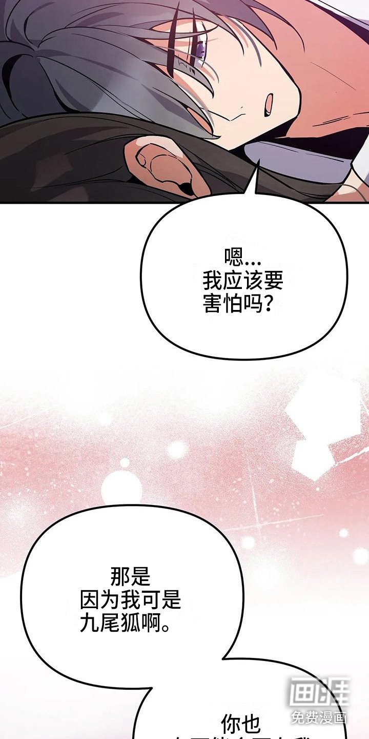 第11章：夜空