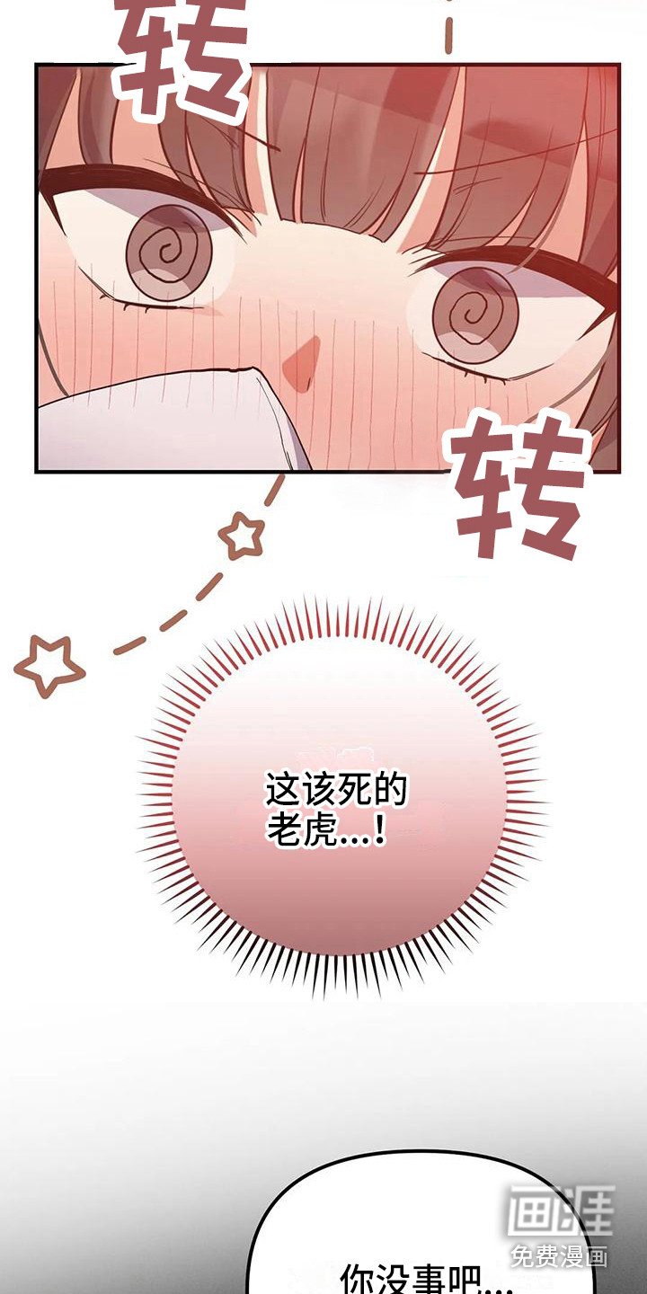 第16章：约定