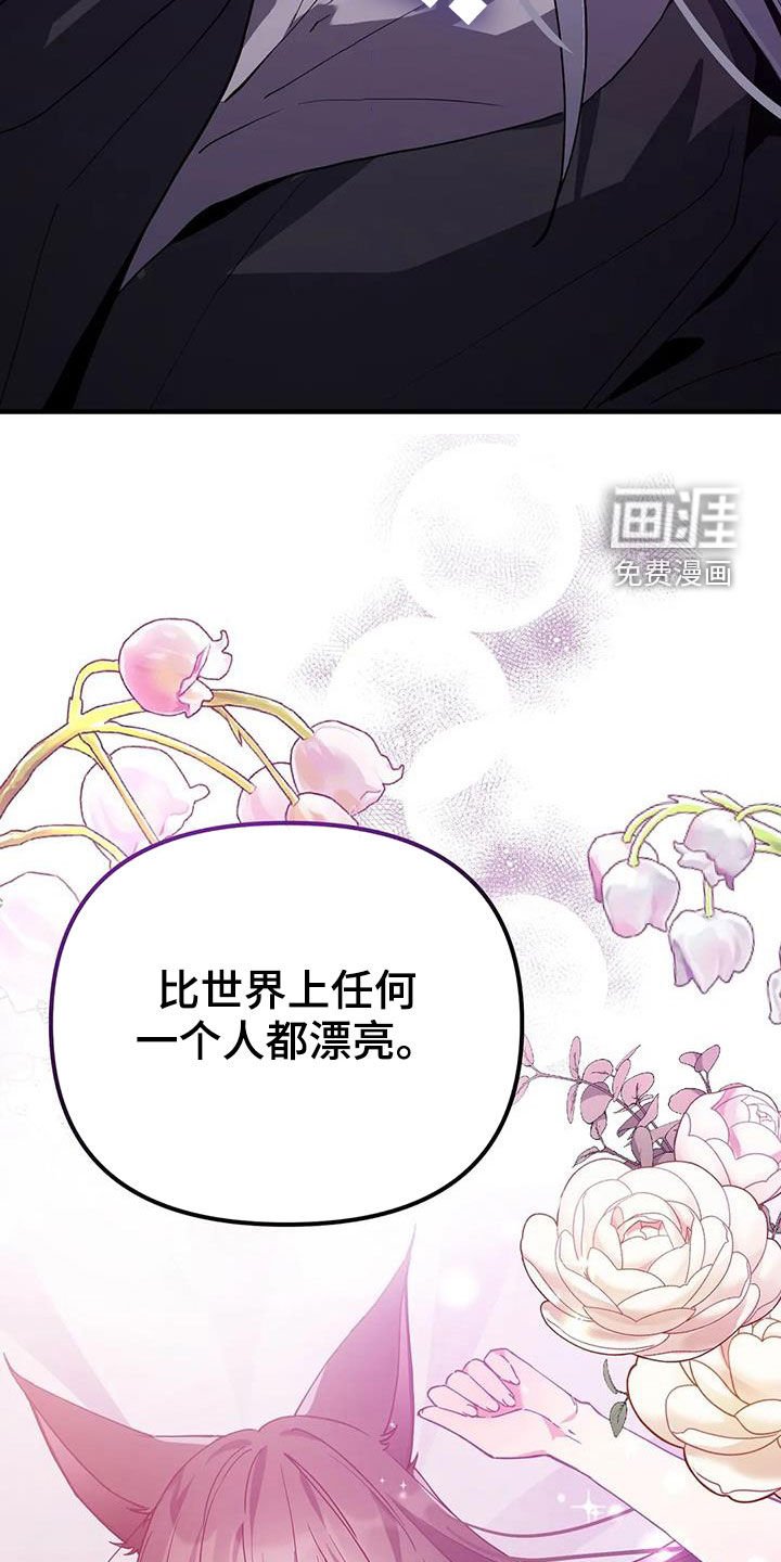第19章：爱慕