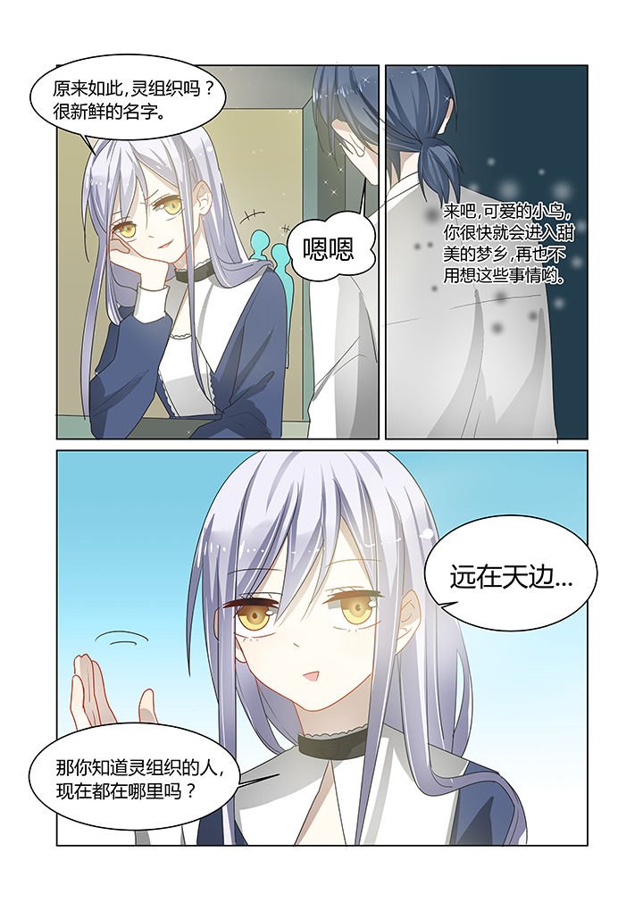第13章：