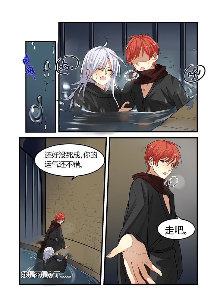 第20章：