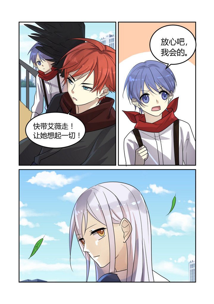第31章：