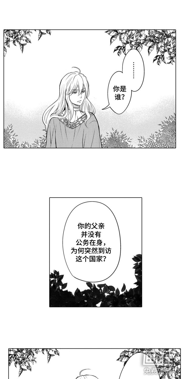 第14章：陌生的声音