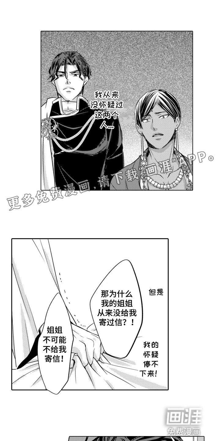 第17章：诱饵