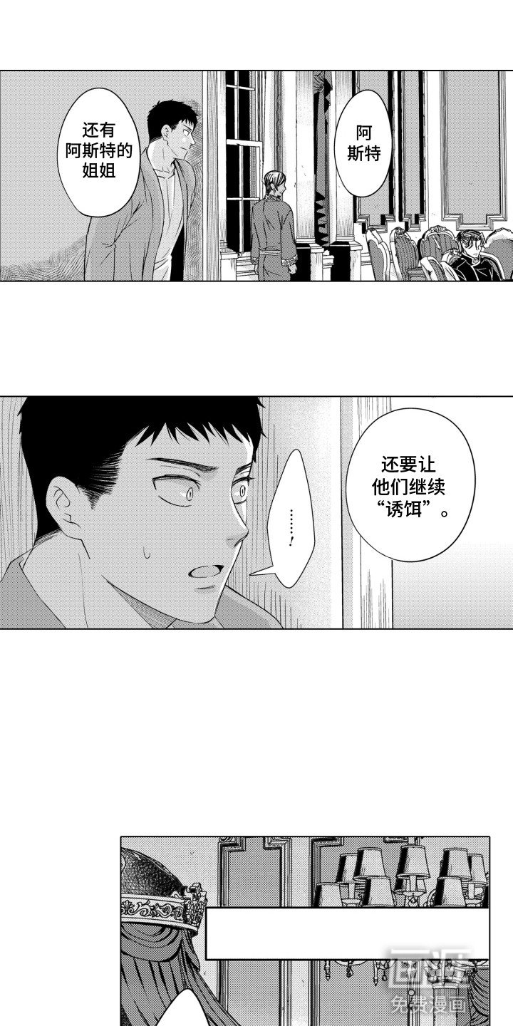 第17章：诱饵