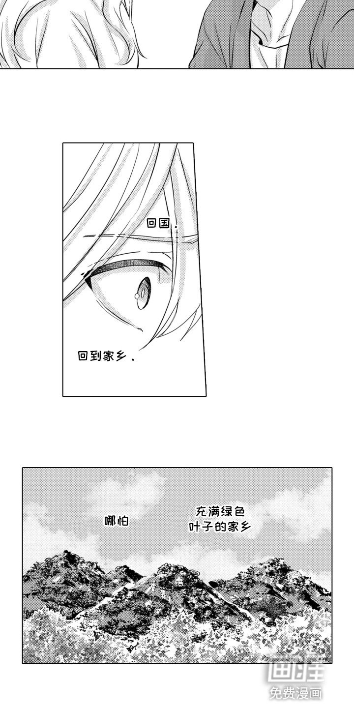 第17章：诱饵