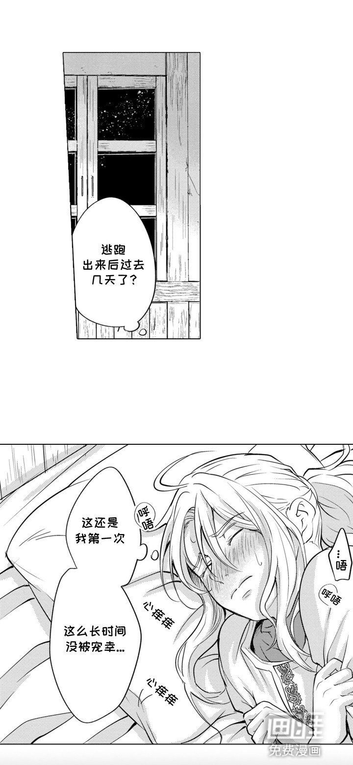 第21章：幕后黑手