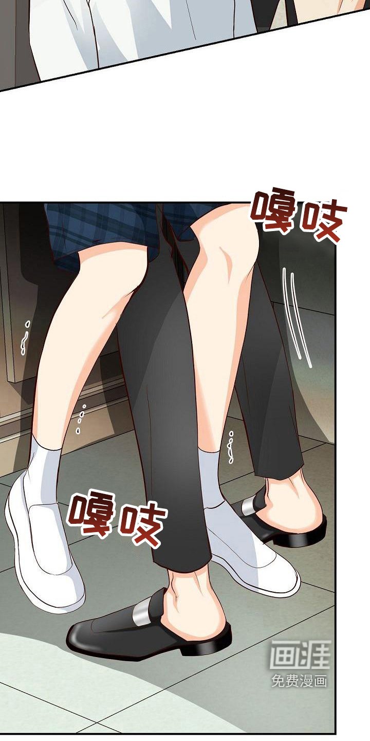 第25章：选择