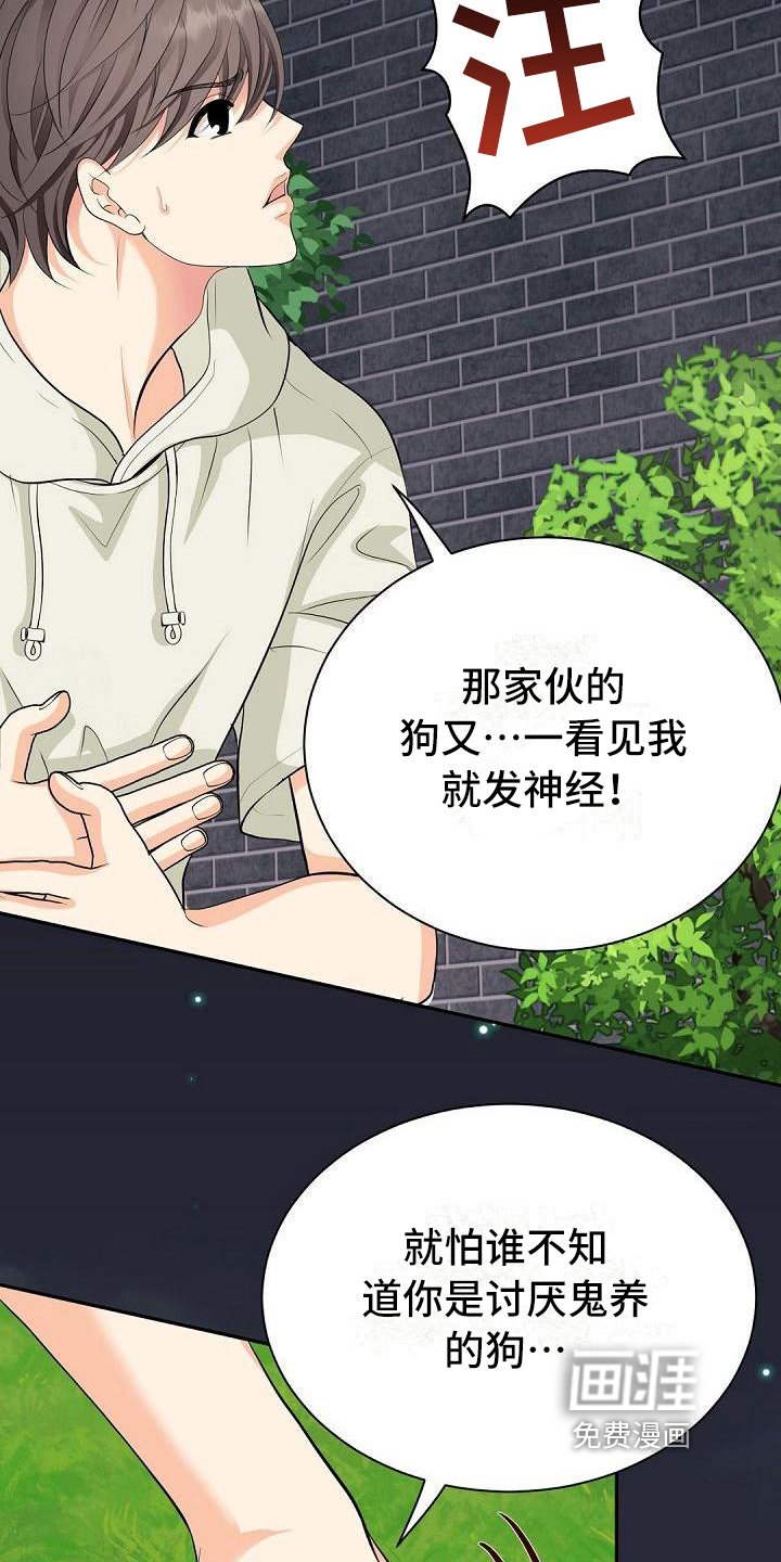 第4章：厌恶