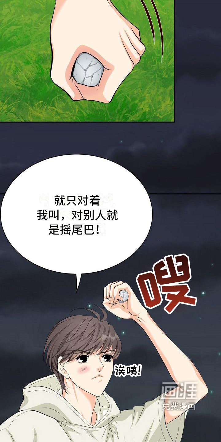 第4章：厌恶