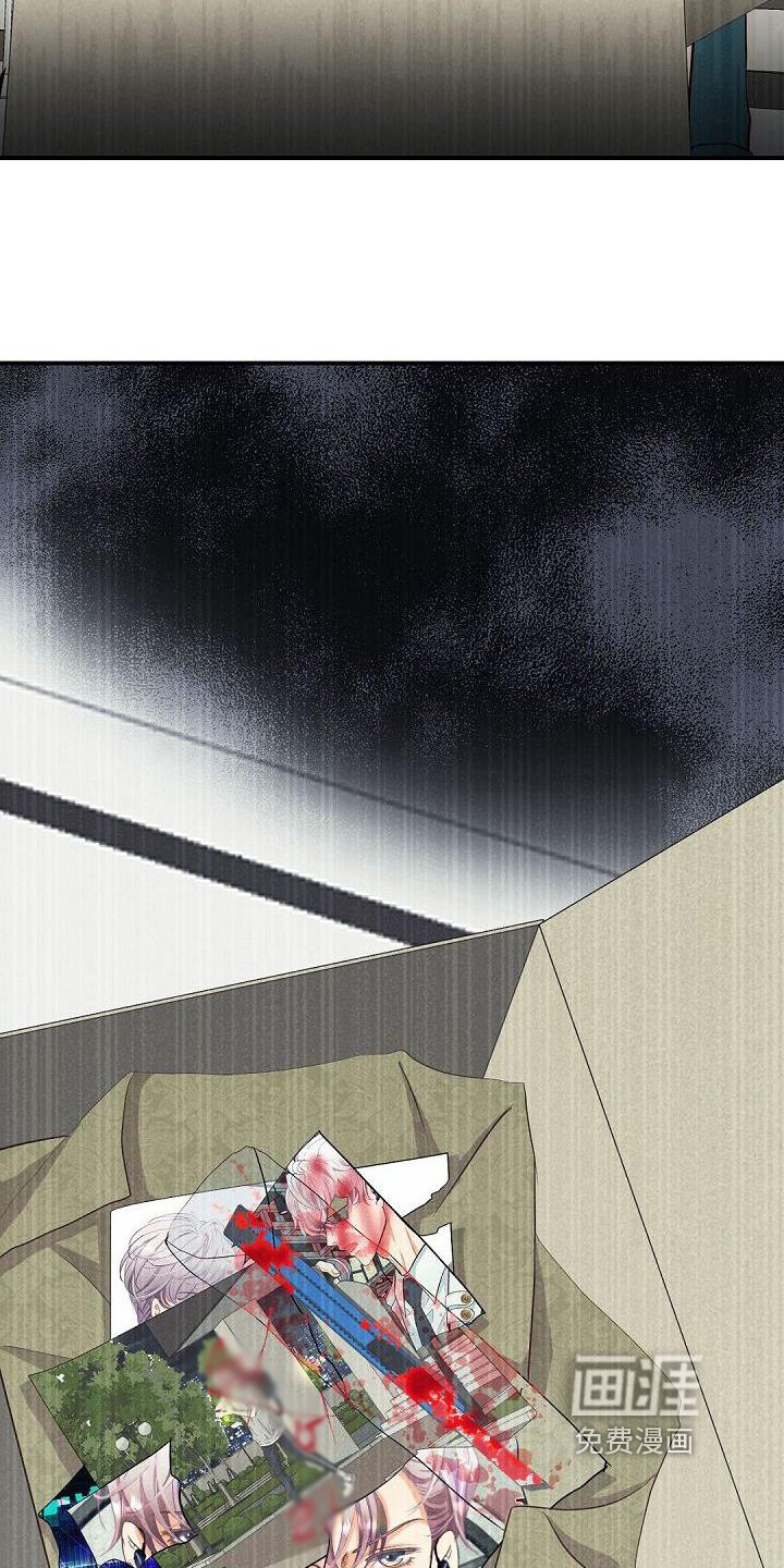 第51章：原因