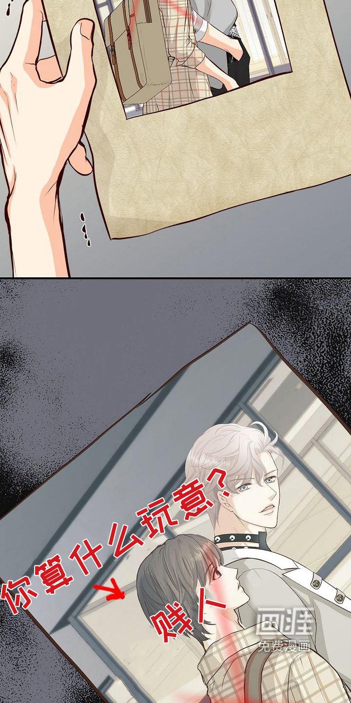 第72章：照片