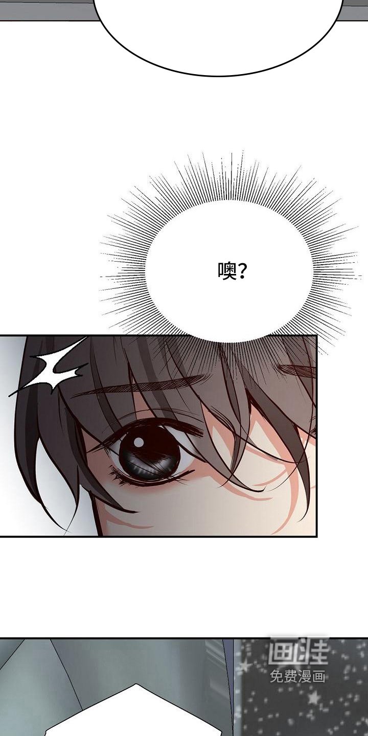 第85章：搭档