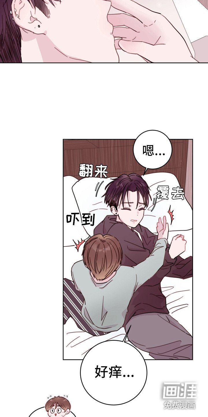 第11章：装睡