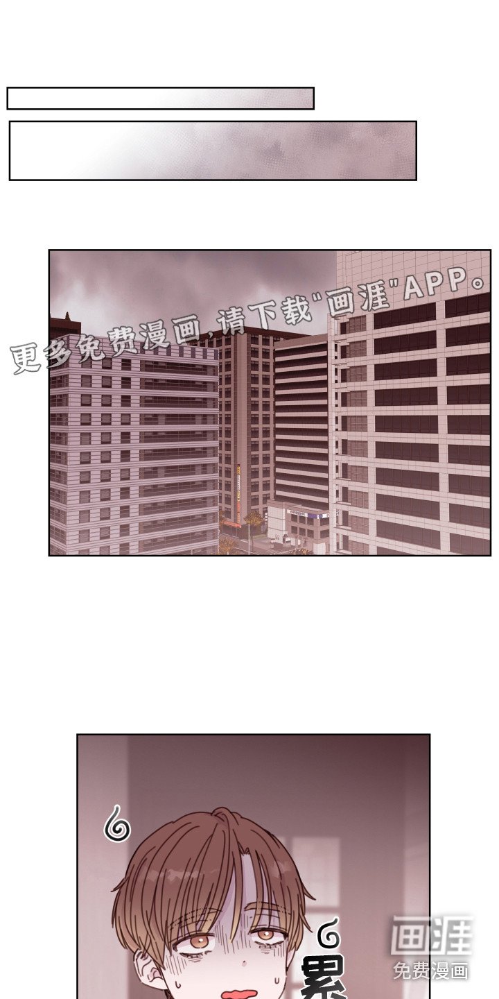 第13章：隐瞒