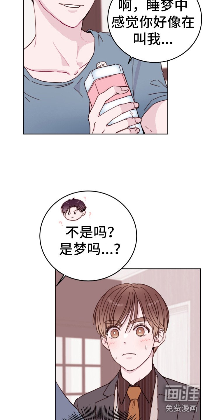 第13章：隐瞒