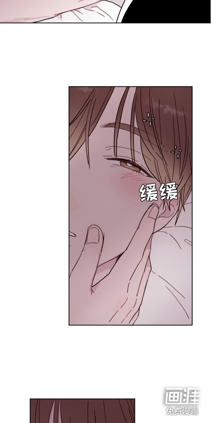 第14章：不追究