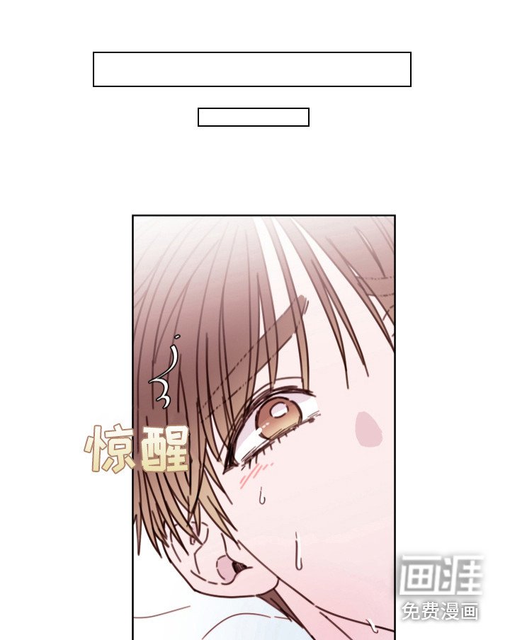 第14章：不追究