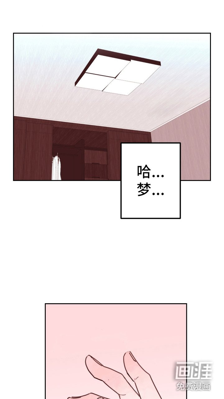 第14章：不追究