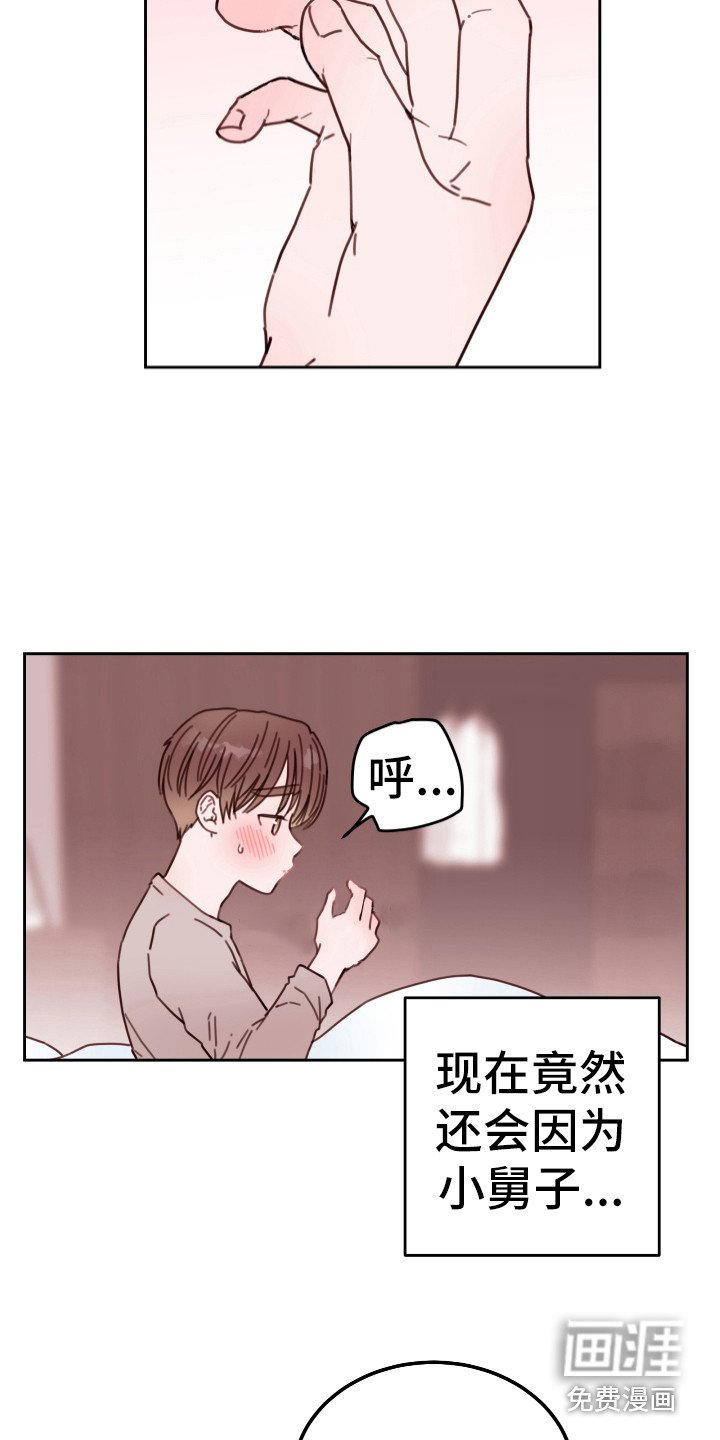 第14章：不追究