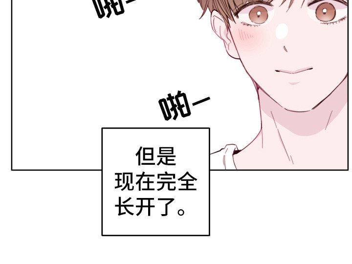 第2章：小舅子